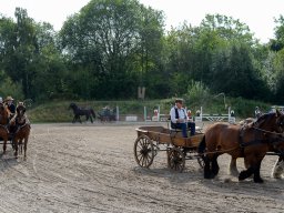_DSC5449_web